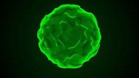 Virus