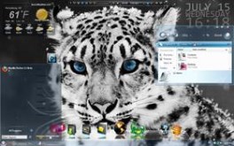 Leopard Stare