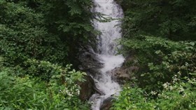 Greenwood_Falls
