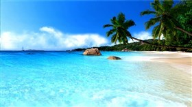 Palm_Ocean_Beach