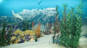 3D_Dolphin_Dive