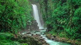 Costa Rica_Jungle_Waterfall