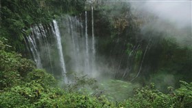 Rainforest_Weeping_Waterfalls