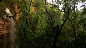 Beautiful_ObscureForest_WaterFalls