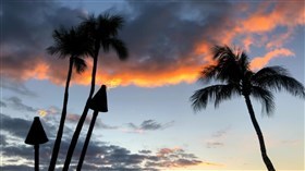 Windy_Palms_Tiki_Torches