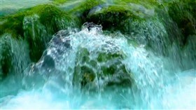 Natures_Water_Fountain