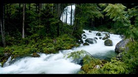 Spectacular High Forest Waterfall