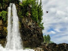 High_Forest_Falls