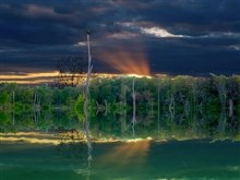 Green_Bayou
