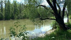 Lazy_River