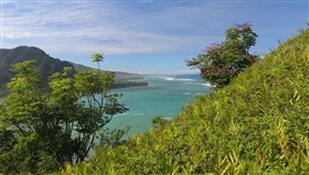 Green_Hillside_Ocean