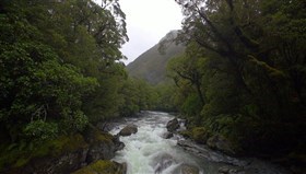 Nice_Jungle_River