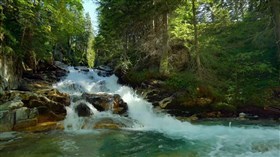 Small Forest Waterfall
