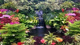 Garden Pond Falls