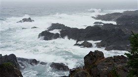 Sea Splash
