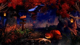Halloween Witch