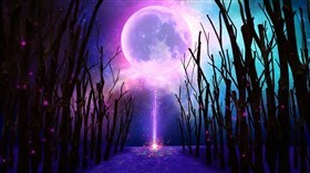 Moon Beam