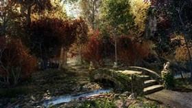 4K Forest Creek