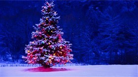 4K Blinking Xmas Tree