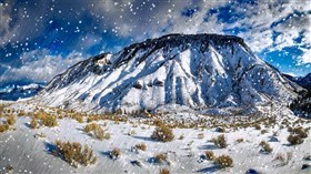 Yellowstone Winter