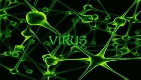 Virus