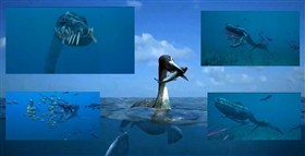 Sea Monsters 2