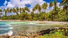 Caribbean II