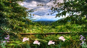 Countryside