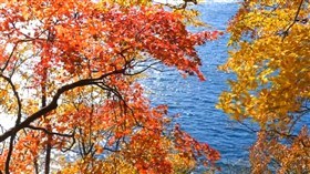 Autumn River
