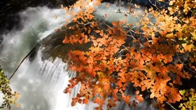 Autumn Falls a2