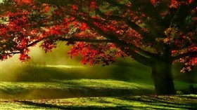 Autumn Leaving
