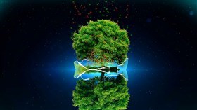 Magic Tree