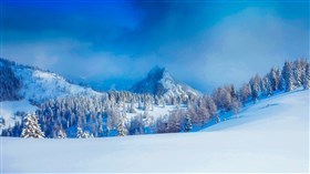 Winter Scape