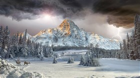 Winter Lightning