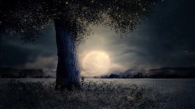 Cloudy Moon 