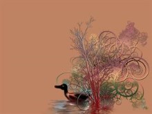 Duck blind