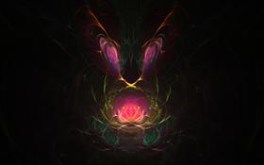 Waterlily