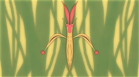 The bug in the grass