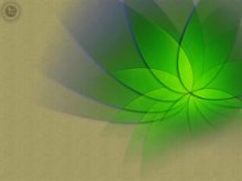 Flor Verde