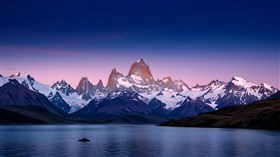 Patagonian Beauty