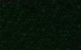 Crocodillian