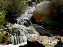 fantastic garden waterfall