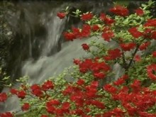 nature's beautiful waterfall