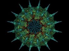 liquid fractal