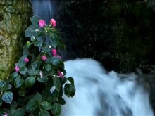 villa waterfall