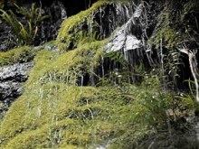 natures wonder falls 2