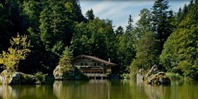 Living in the Forest 2