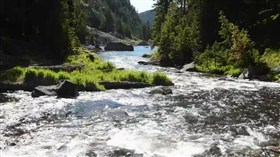 Whitewater
