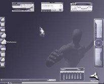 Chaninja-