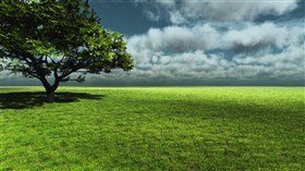 Afternoon shadows_4K